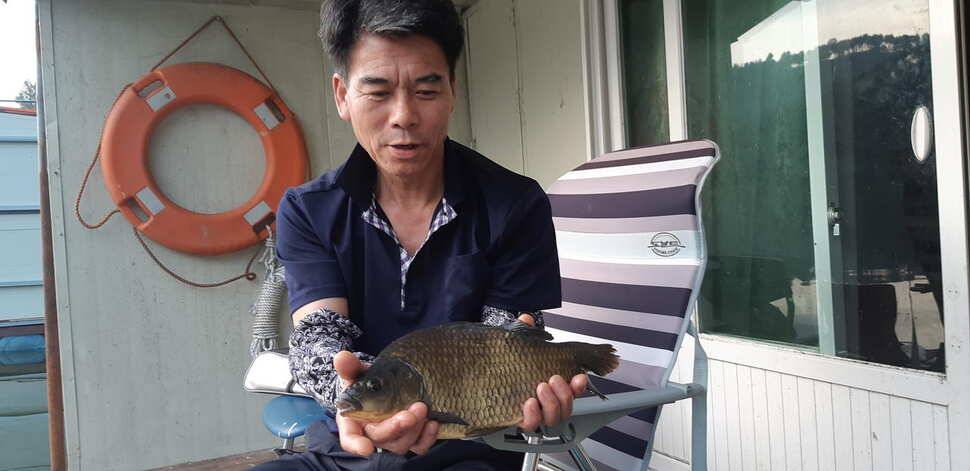 양평 수곡낚시터 9월28 오늘도 고르게 좋은 조황이 이어지고 있네요 오늘 붕어방류 완료하였습니다 (유료터정보 - 유료터점주조황)