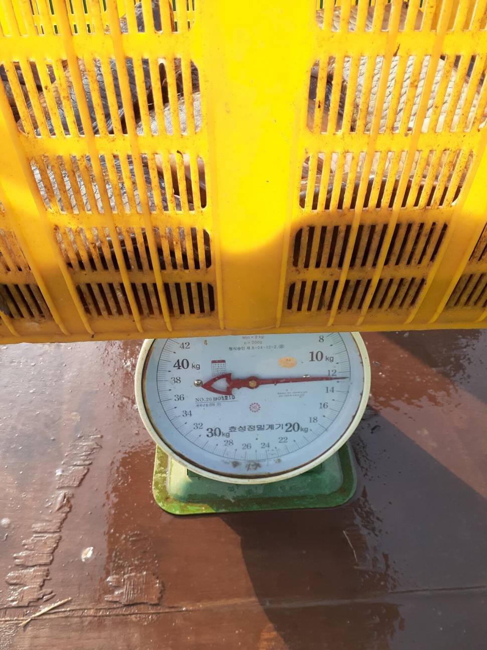 경주 동산낚시터붕어 전용잡이터지난주 조황 (유료터정보 - 유료터점주조황)