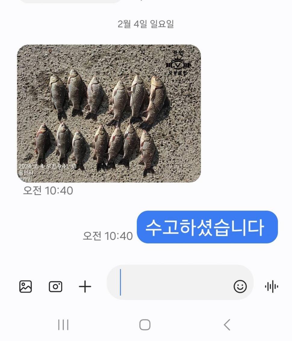 2024년 02월 둘째주 조황정보 용담낚시터사암지 (유료터정보 - 유료터점주조황)