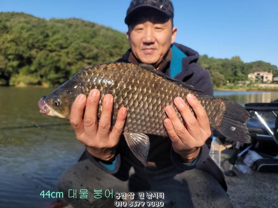 가깝고 물 좋고 경치 좋은 곳용인삼인낚시터 (유료터정보 - 유료터점주조황)