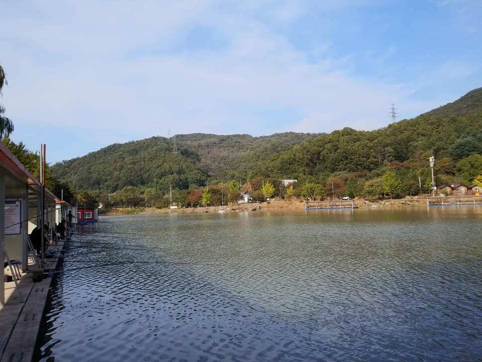 양평 수곡낚시터 10월17일 붕어 방류 및 조황 안내 (유료터정보 - 유료터점주조황)