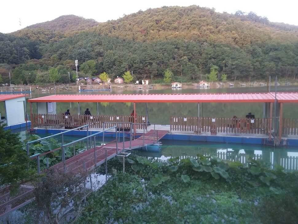 양평 수곡낚시터 10월17일 붕어 방류 및 조황 안내 (유료터정보 - 유료터점주조황)