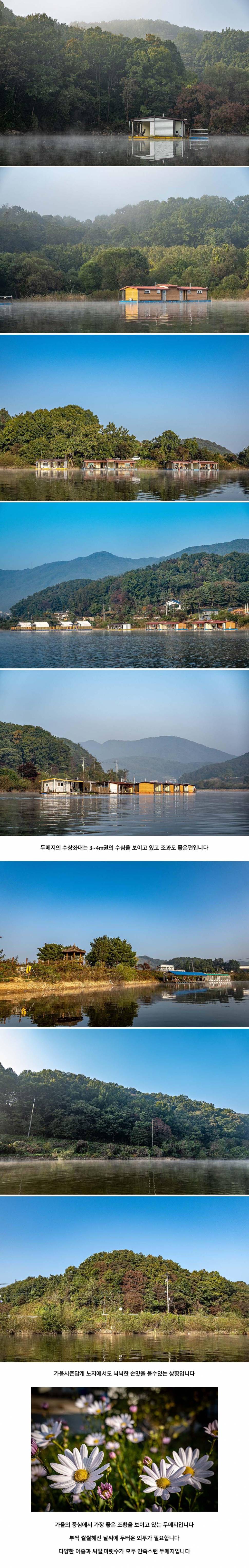 안성 두메낚시터 10월 17일 조황정보 (유료터정보 - 유료터점주조황)