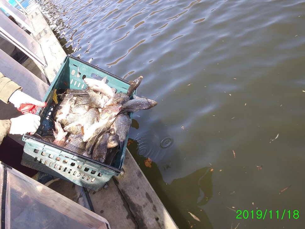 수곡낚시터 수상좌대 할인 행사 실시 자연산 토종붕어 방류 및 조황 안내 (유료터정보 - 유료터점주조황)