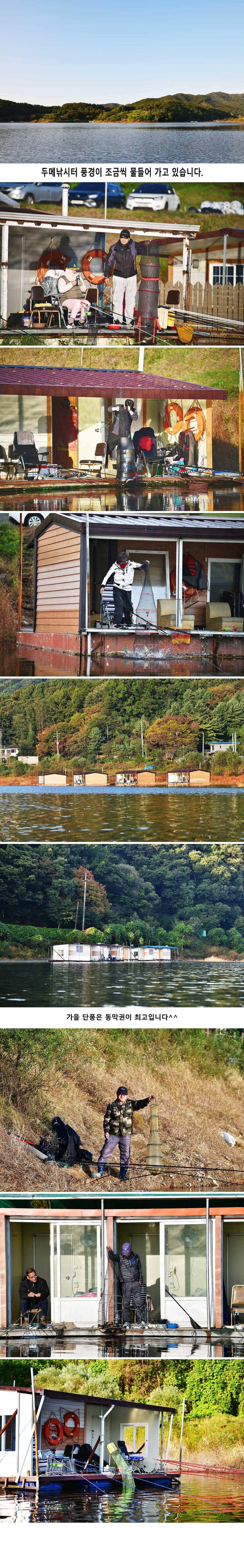 안성 두메낚시터 10월13일 조황안내 (유료터정보 - 유료터점주조황)