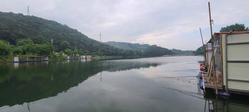 양평 지평 수곡낚시터 붕어100수 와 함게 조황이 꾸준합니다 (유료터정보 - 유료터점주조황)