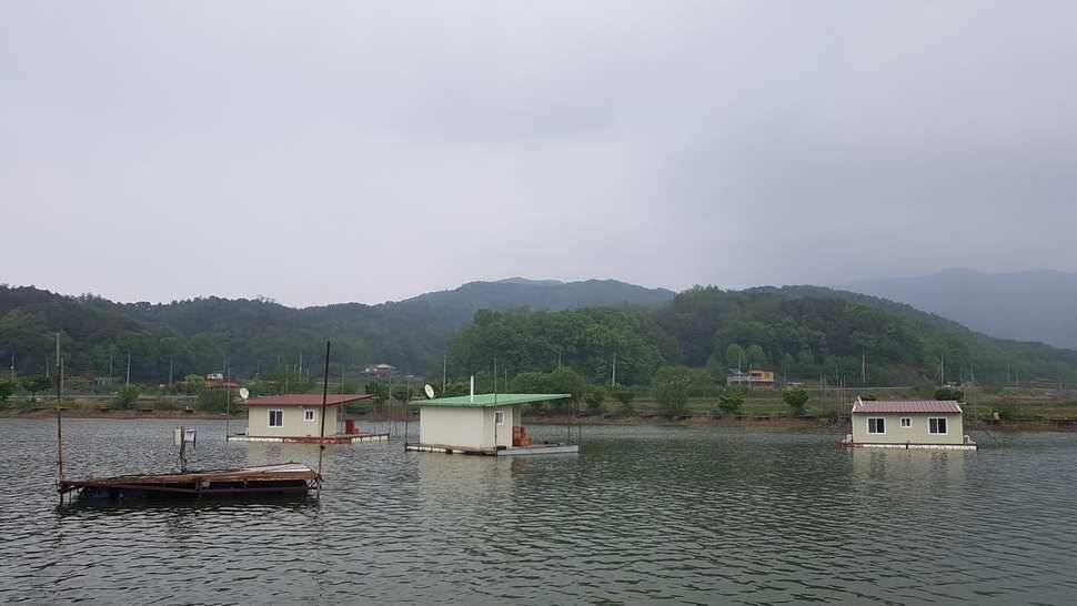 주중조황 입니다 (유료터정보 - 유료터점주조황)