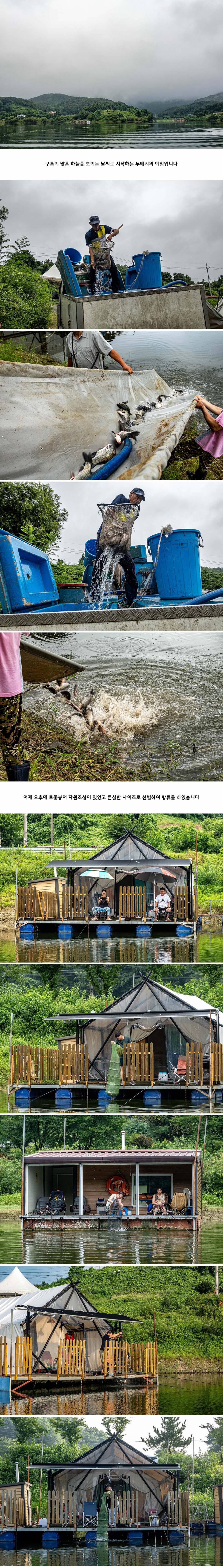 안성 두메낚시터 8월 5일 조황정보 (유료터정보 - 유료터점주조황)