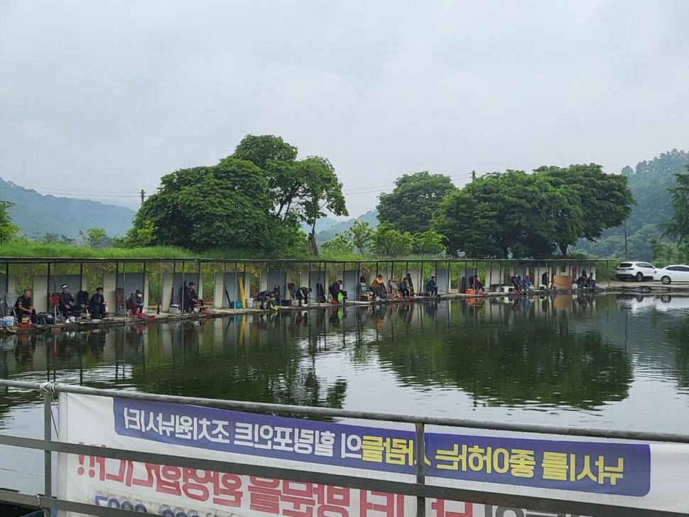 조치원낚시터 오랜만에 소식올려봅니다 (유료터정보 - 유료터점주조황)