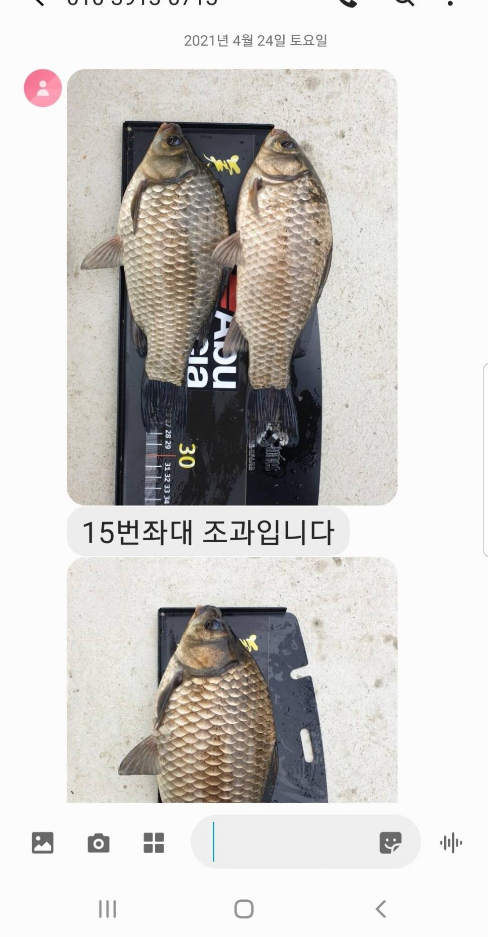 2021년 4월 마지막주 조황정보 용인 용담낚시터사암지 (유료터정보 - 유료터점주조황)