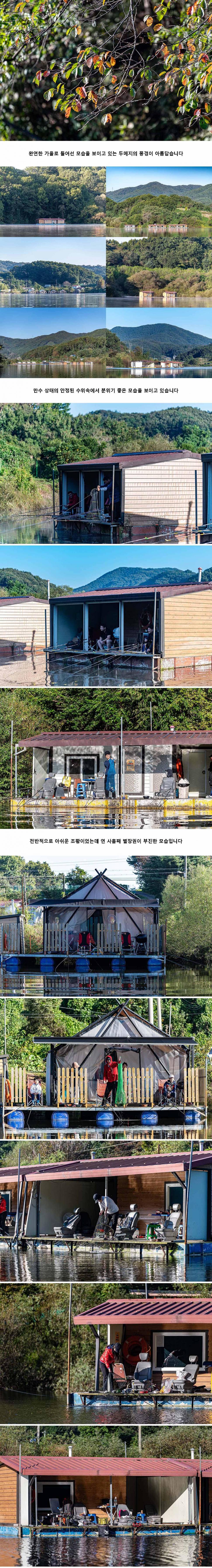 안성 두메낚시터 10월 2일 조황정보 (유료터정보 - 유료터점주조황)