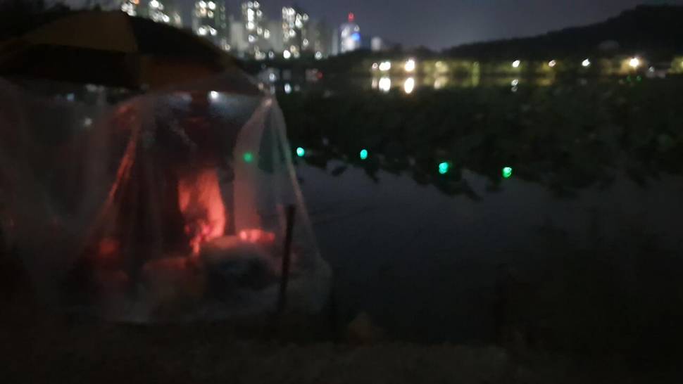 아산 명품 월랑낚시터 10월 첫번째 조황이야기입니다 (유료터정보 - 유료터점주조황)