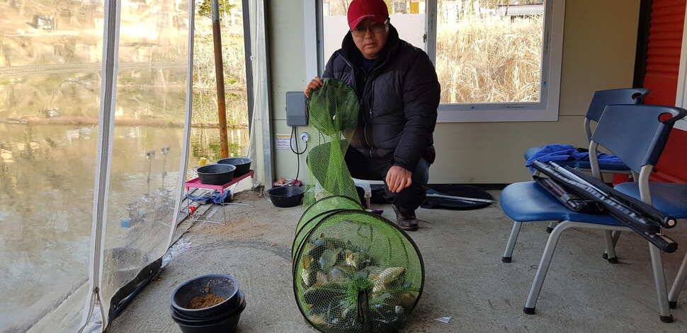 힐링 양평 수곡낚시터 4짜 대물붕어주중조황 및 붕어방류수상좌대 할인요금 안내 (유료터정보 - 유료터점주조황)