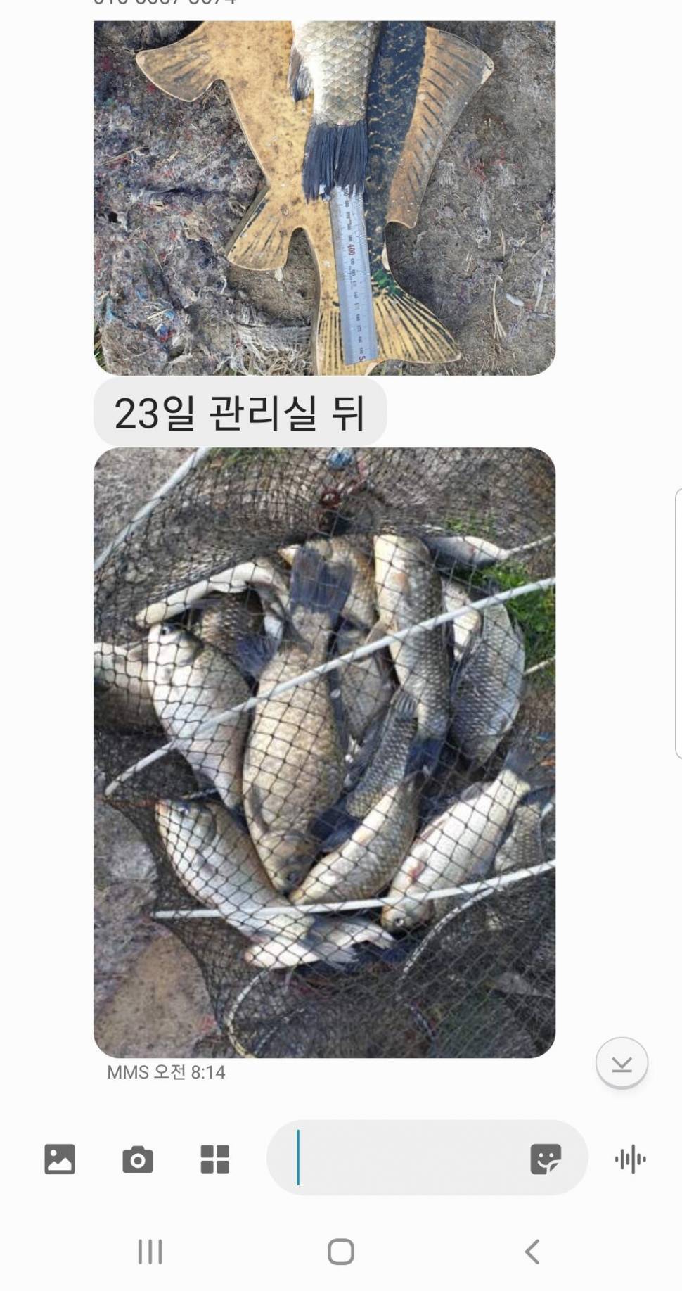 2021년 4월 마지막주 조황정보 용인 용담낚시터사암지 (유료터정보 - 유료터점주조황)
