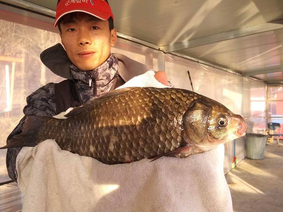 수곡낚시터 주중에 붕어조황이 다시 회복되네요 오늘 붕어 방류 완료했습니다 (유료터정보 - 유료터점주조황)
