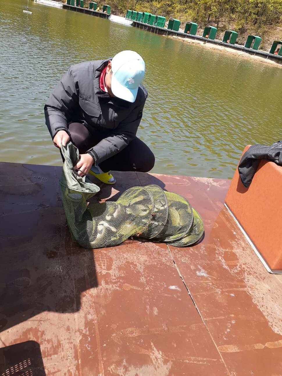 경주 동산낚시터붕어 전용잡이터지난주 조황 (유료터정보 - 유료터점주조황)