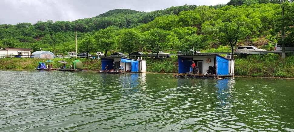 공주 고성낚시터 입니다 (유료터정보 - 유료터점주조황)