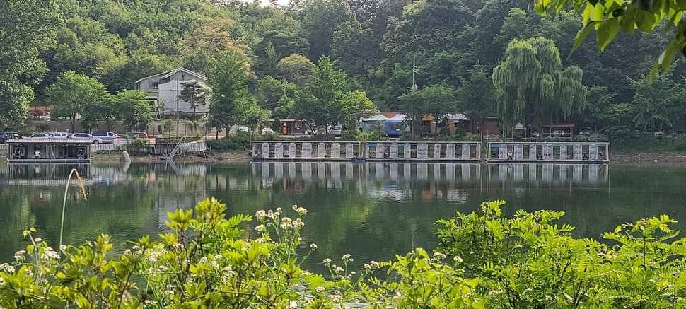 수곡낚시터 6월16일 주중 조황 및 금일 붕어 방류 완료하였습니다 (유료터정보 - 유료터점주조황)