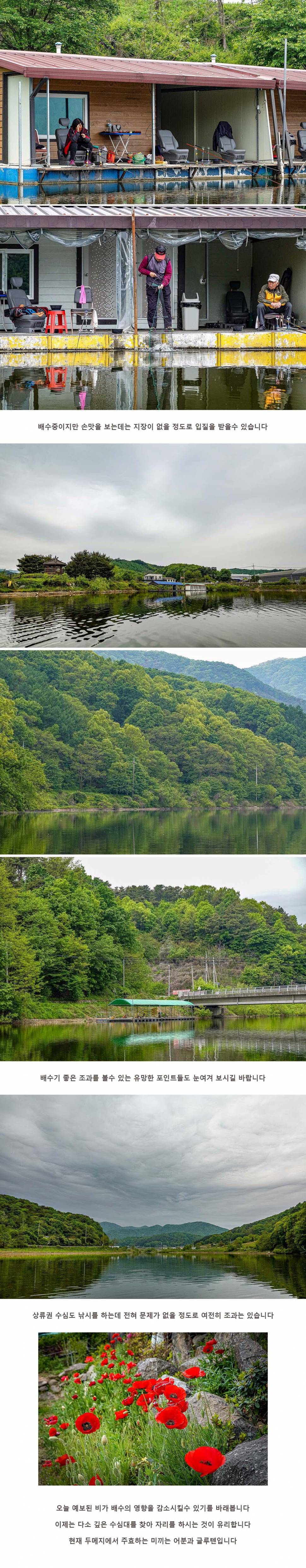 안성 두메낚시터 5월 4일 조황정보 (유료터정보 - 유료터점주조황)