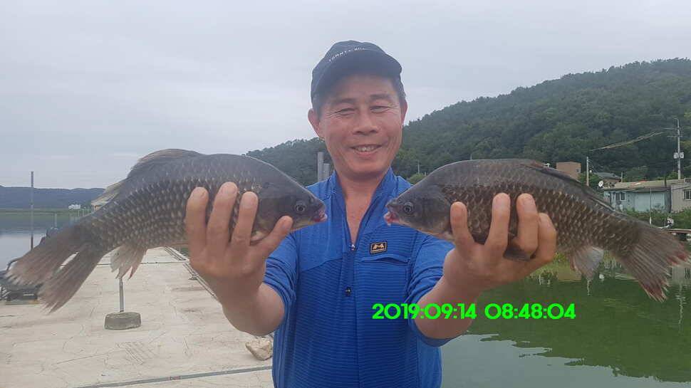 신원낚시터 토종대물 덩어리와 4짜가 마릿수로 (유료터정보 - 유료터점주조황)