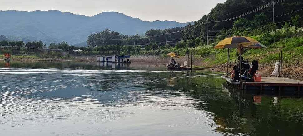 공주 고성낚시터 입니다 (유료터정보 - 유료터점주조황)