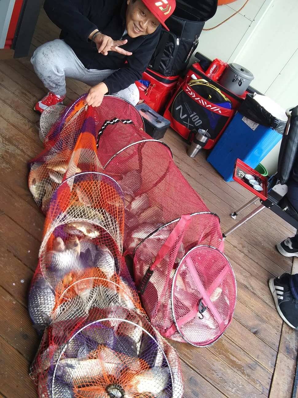 양평 수곡낚시터 붕어낚시 대박조황이 나와주었네요 오늘도 튼실한 붕어 방류 마쳤습니다 (유료터정보 - 유료터점주조황)