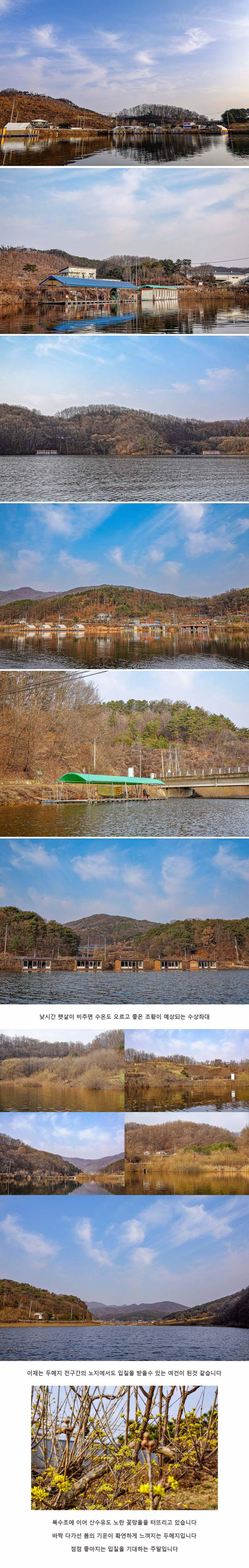 안성 두메낚시터 3월 13일 조황정보 (유료터정보 - 유료터점주조황)