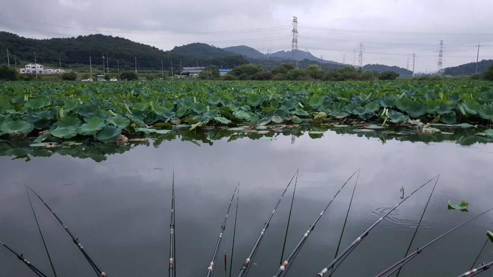아산 안골지 4짜 조황정보입니다 (유료터정보 - 유료터점주조황)