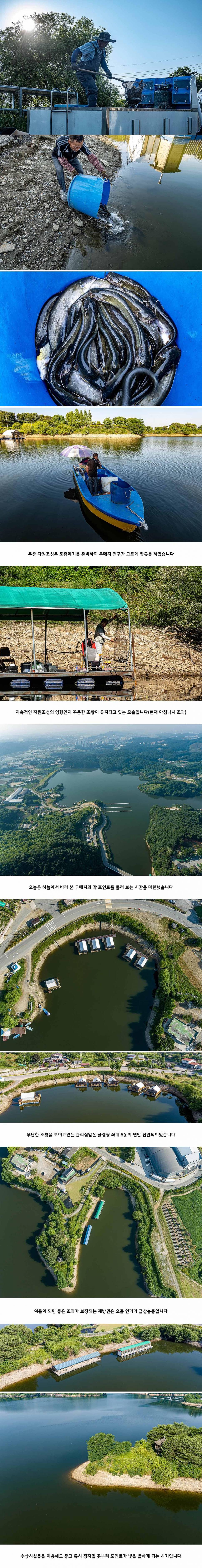 안성 두메낚시터 6월 5일 조황정보 (유료터정보 - 유료터점주조황)
