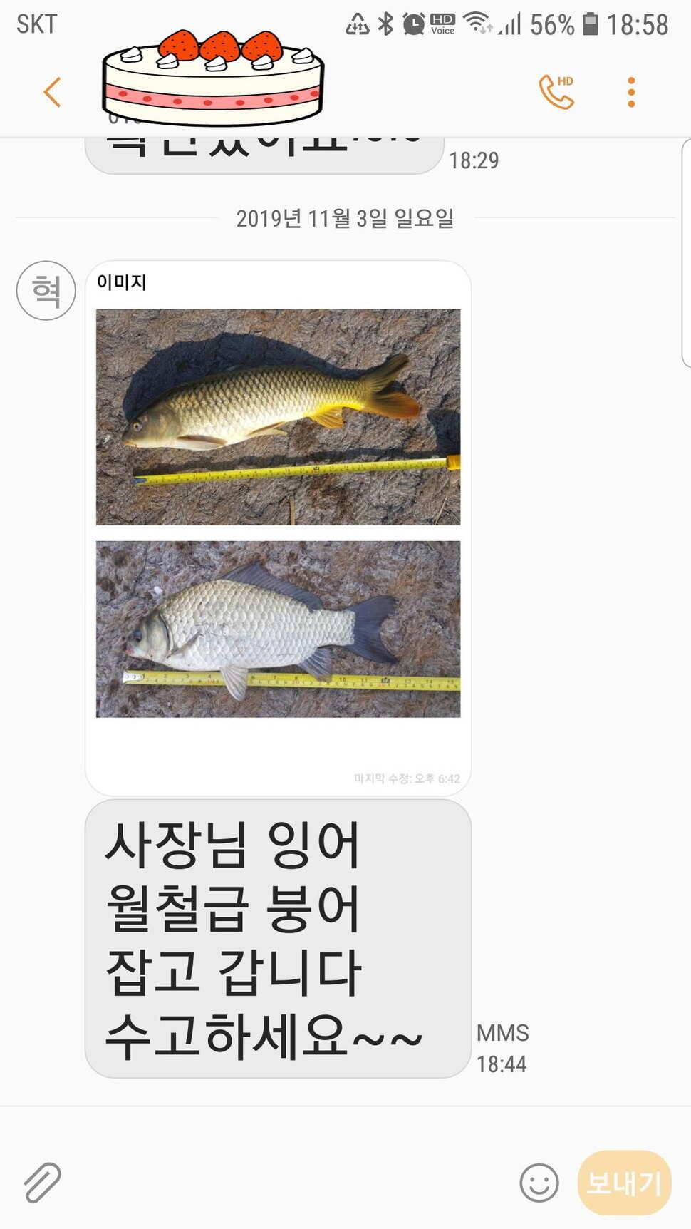신원낚시터11월4일 토종붕어 방류와 조황 소식입니다 (유료터정보 - 유료터점주조황)