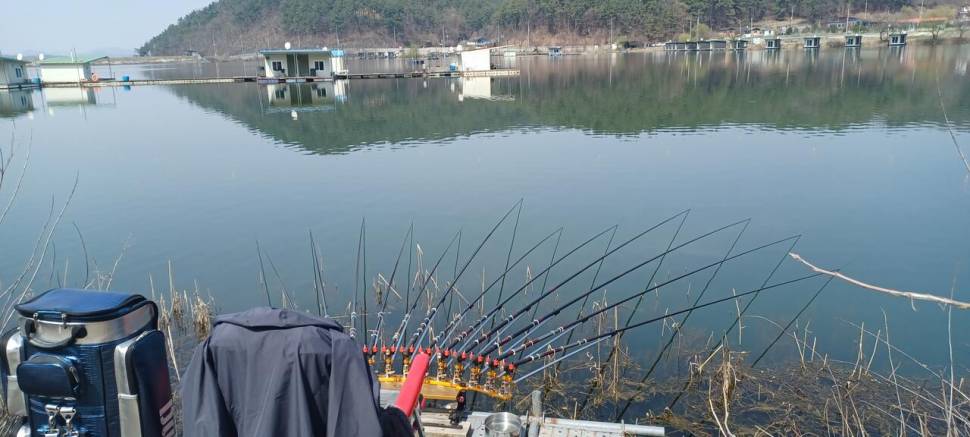 어우실지 붕어방류 (유료터정보 - 유료터점주조황)