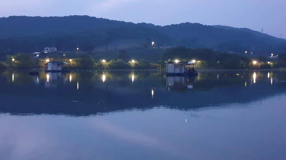 아산 명품 월랑낚시터 5월 네번째 조황이야기입니다 (유료터정보 - 유료터점주조황)