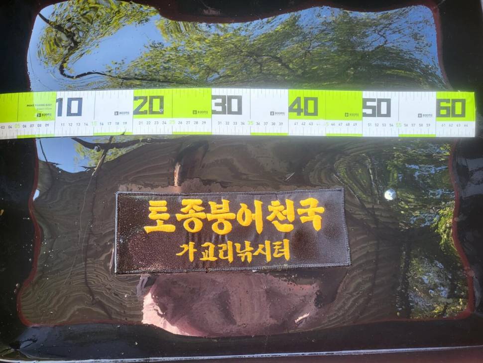 당진 가교리 낚싵 9월 29일 조황영상입니다 (유료터정보 - 유료터점주조황)
