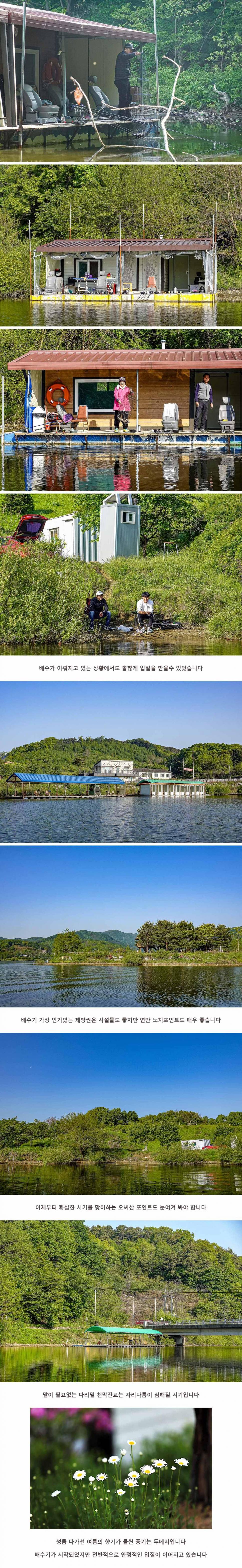 안성 두메낚시터 5월 3일 조황정보 (유료터정보 - 유료터점주조황)