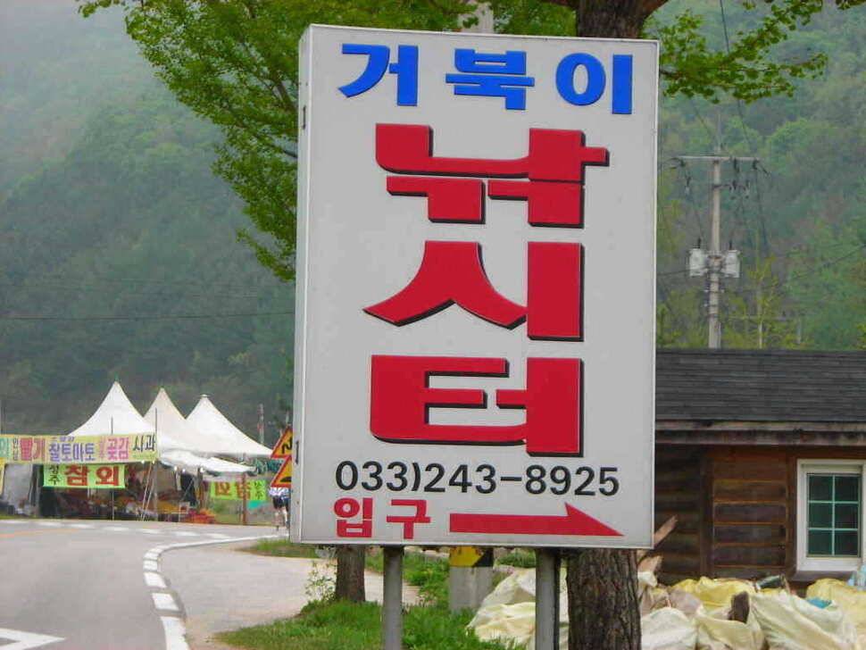 유료터정보 > 유료터점주조황 > 의암호 거북이낚시터