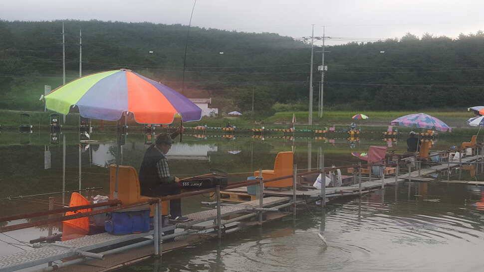 경주 동산낚시터붕어 전용 잡이터 지난주 조황 (유료터정보 - 유료터점주조황)