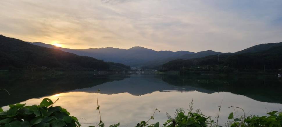 공주 고성낚시터 입니다 (유료터정보 - 유료터점주조황)