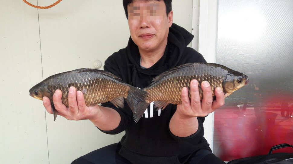 송전지 창신좌대 조황정보 (유료터정보 - 유료터점주조황)