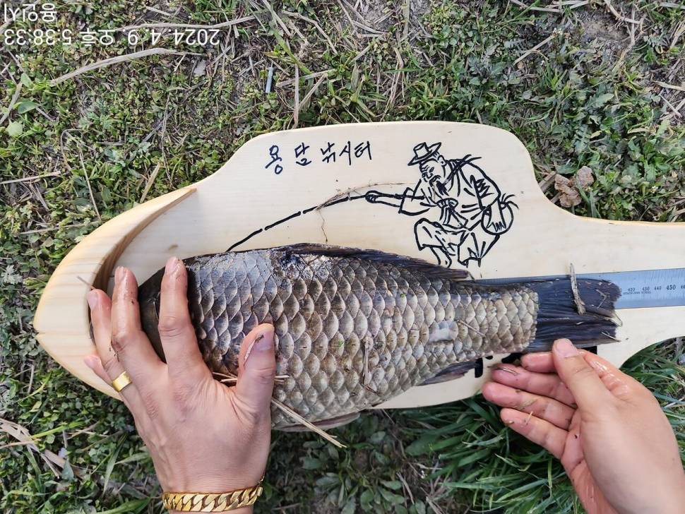 2024년 04월 둘째주 조황정보 용담낚시터사암지 이번주 4짜 1마리 (유료터정보 - 유료터점주조황)