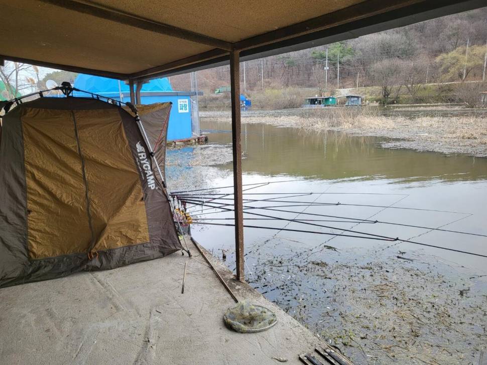 당진 가교리 낚시터 3월 25일 조황입니다 (유료터정보 - 유료터점주조황)