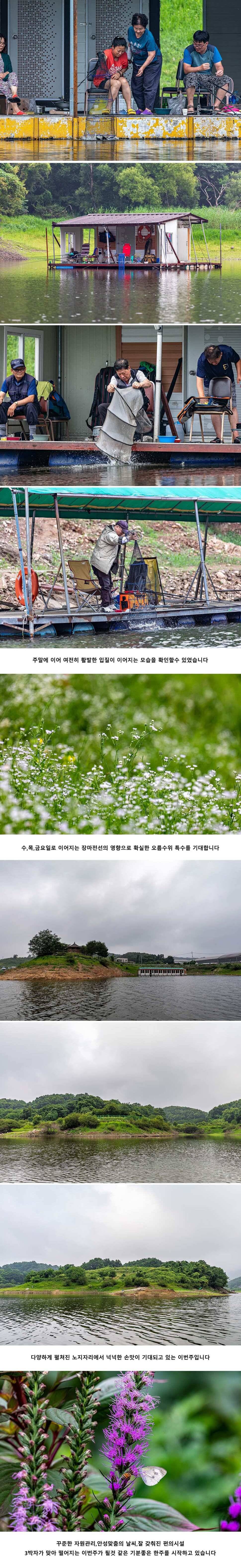 안성 두메낚시터 7월 22일 조황정보 (유료터정보 - 유료터점주조황)