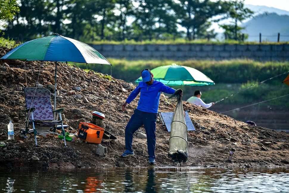 안성 두메낚시터 6월 8일 조황정보 (유료터정보 - 유료터점주조황)