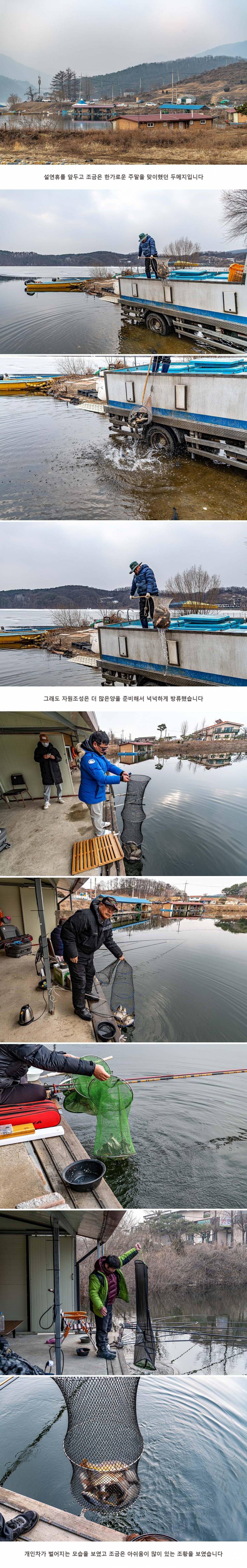 안성 두메낚시터 2월 7일 조황정보 (유료터정보 - 유료터점주조황)