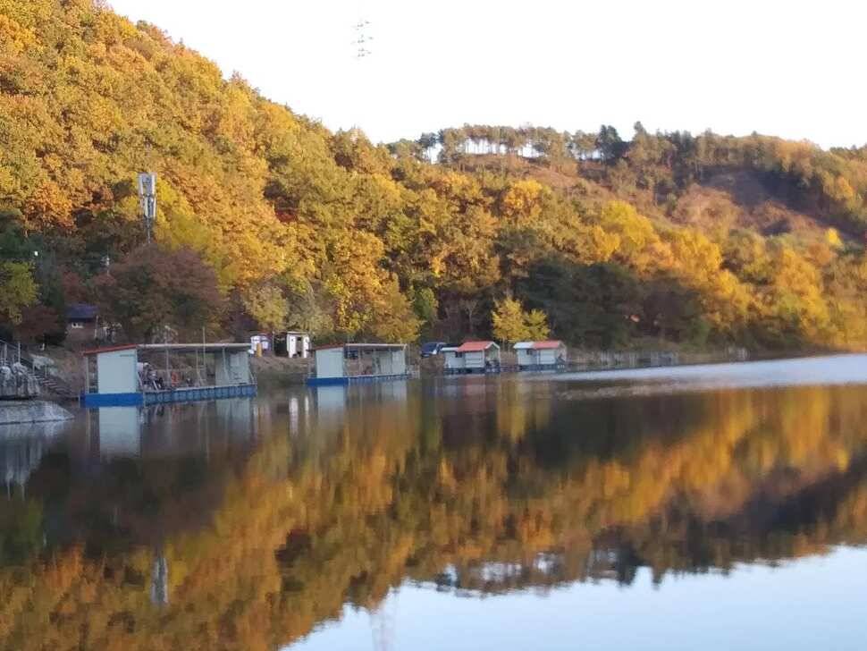 양평 수곡 낚시터 오늘도 자연산 토종붕어 대량 방류 및 조황 안내드려요 (유료터정보 - 유료터점주조황)