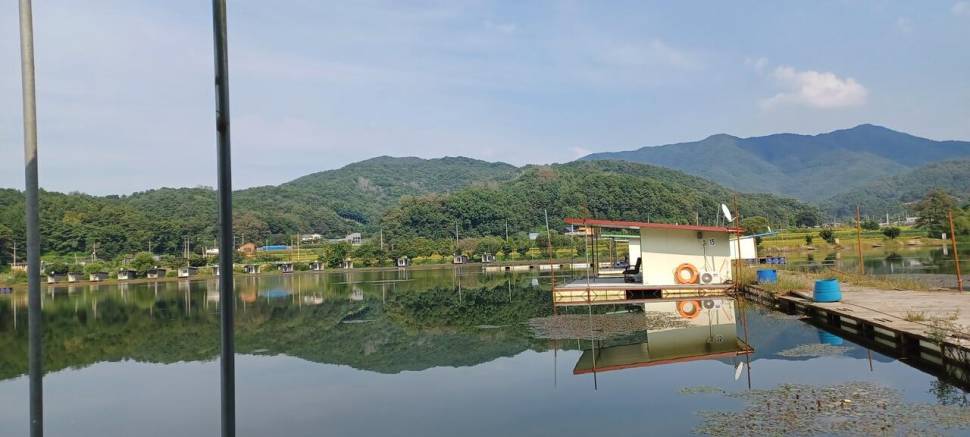 어우실지 비가오니까 수온이많이내려가네요 주말부터는 입질이좋을듯합니다 (유료터정보 - 유료터점주조황)