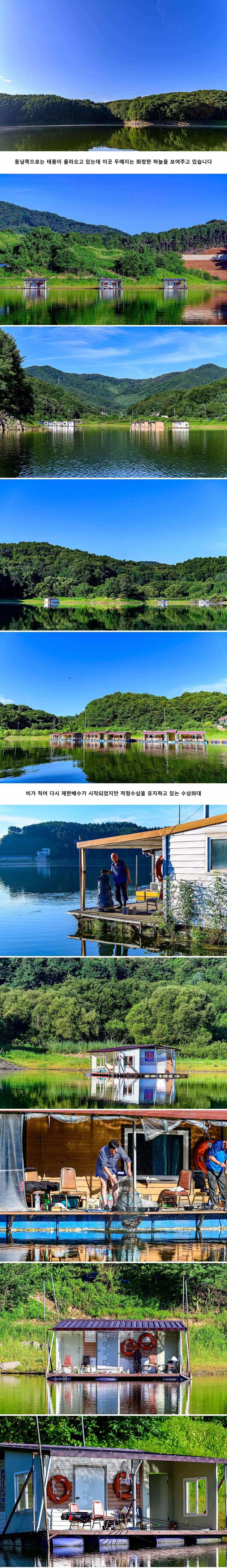 안성 두메낚시터 8월 14일 조황정보 (유료터정보 - 유료터점주조황)