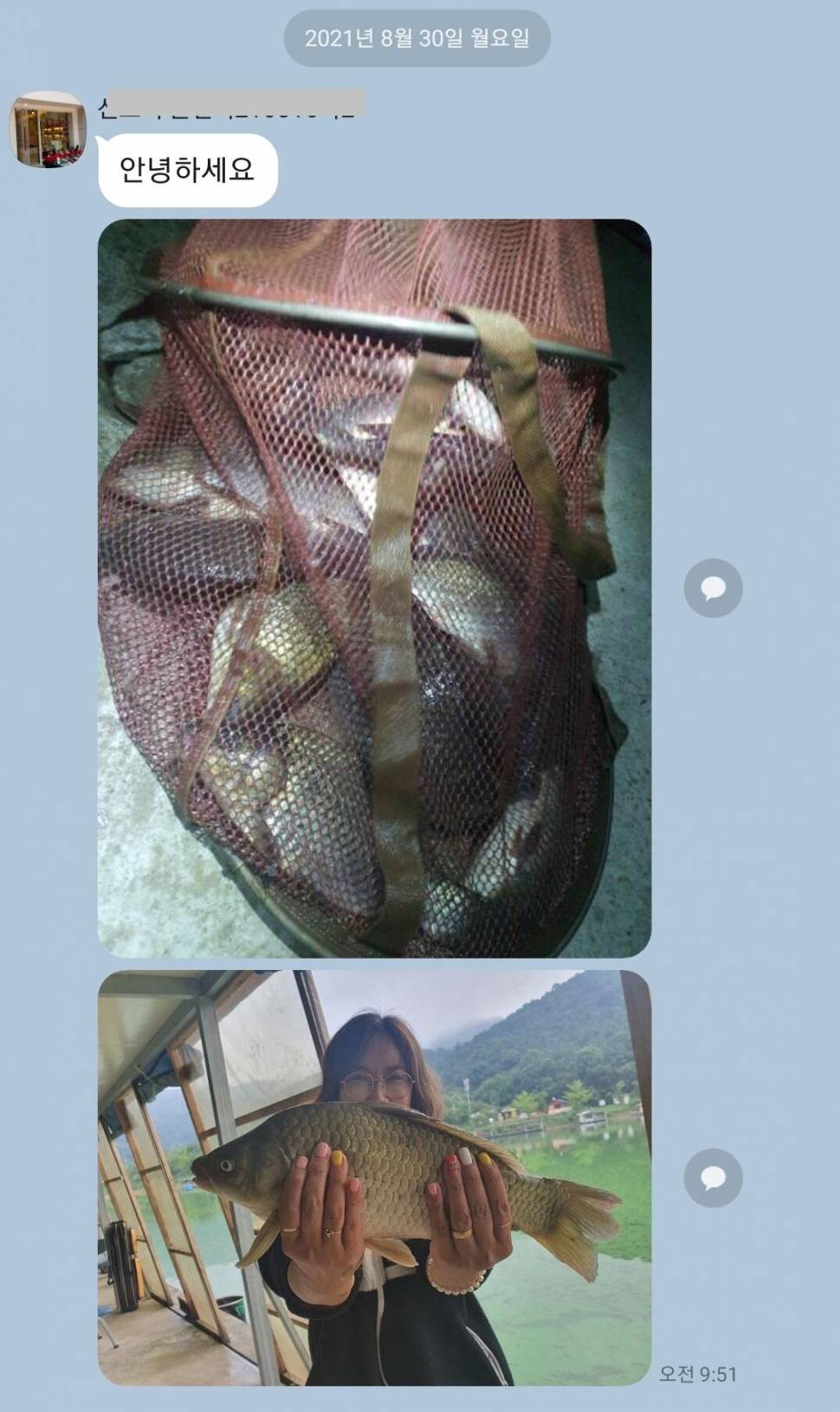 8월31 힐링양평 수곡낚시터 펜션 월화 주초 조황 및 금일 붕어방류 (유료터정보 - 유료터점주조황)