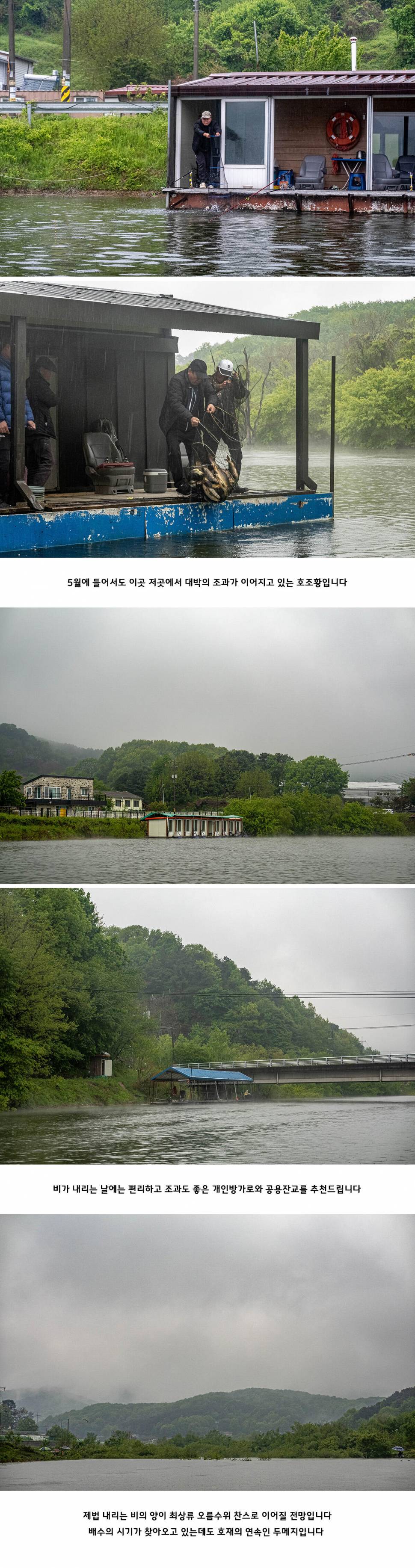 안성 두메낚시터 5월 3일 조황정보 (유료터정보 - 유료터점주조황)