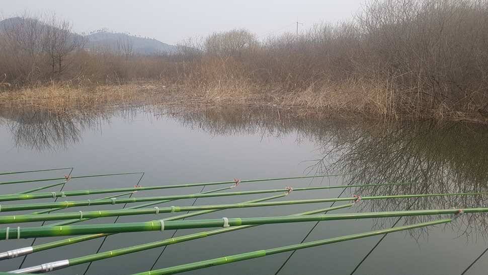 봄시즌 가운트다운 (유료터정보 - 유료터점주조황)