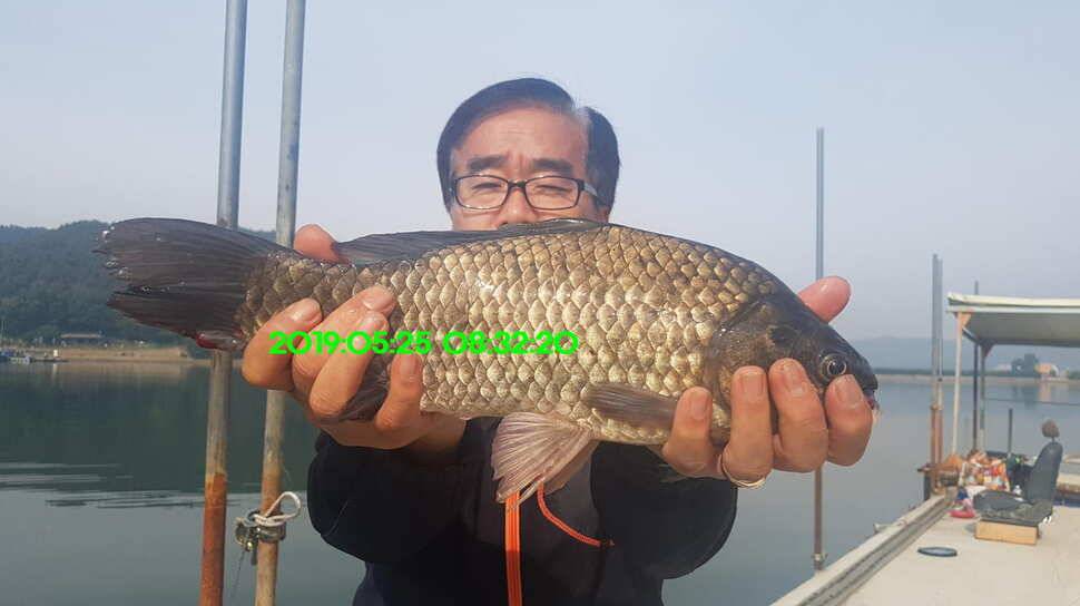 신원낚시터 배수기 조황소식 입니다 (유료터정보 - 유료터점주조황)